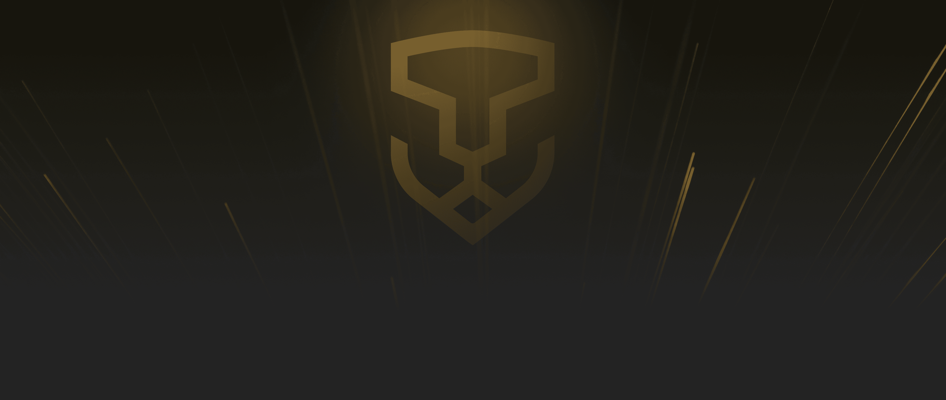 Oleksii Sydorenko Foundation — фотографія банера для десктопів